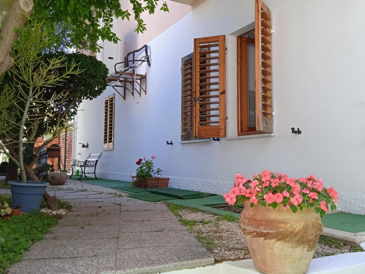Guest House Oleandro Santa Maria Navarrese Exterior photo