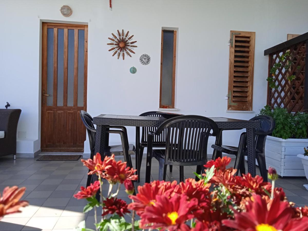 Guest House Oleandro Santa Maria Navarrese Exterior photo
