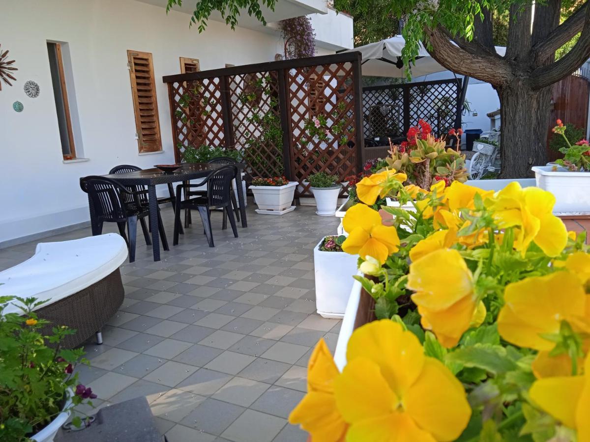 Guest House Oleandro Santa Maria Navarrese Exterior photo