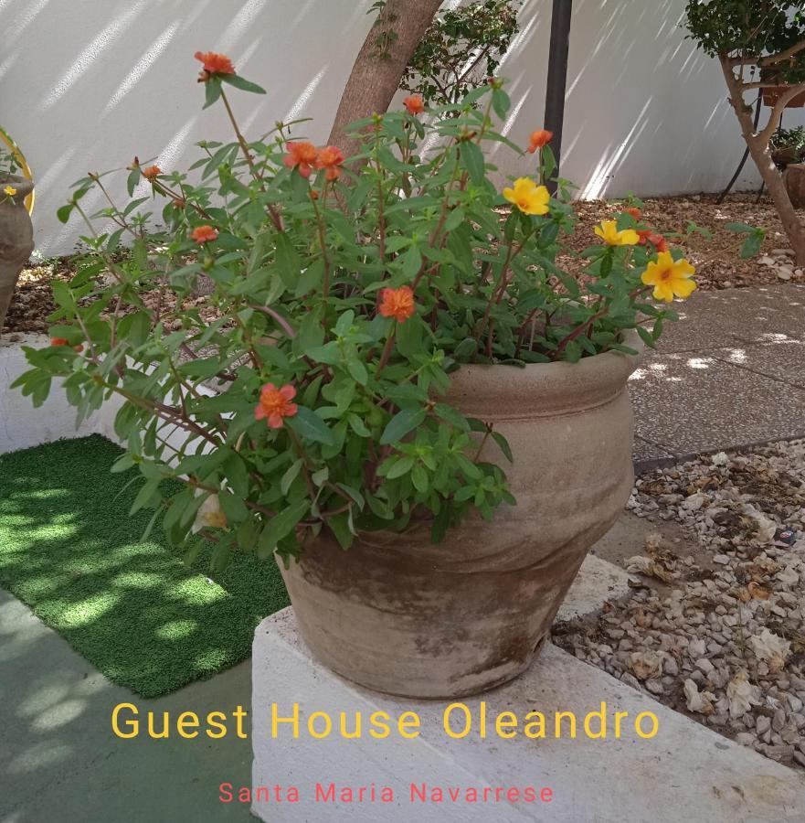 Guest House Oleandro Santa Maria Navarrese Exterior photo